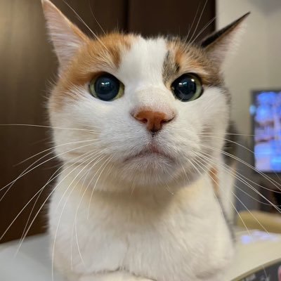minami0106iwata's profile picture