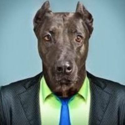 lavache_01's profile picture
