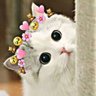 Profilbild von Bewaqoof Aadmi