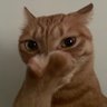 Profilbild von V