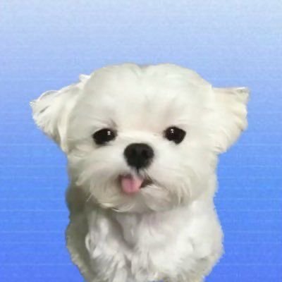 kim's profile picture