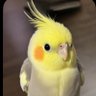 あー。 的头像