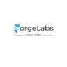 Фото профиля ForgeLabs Solutions