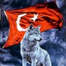 napanbeyarag profil fotoğrafı