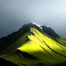 Walk N' Wander's profile picture