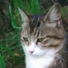 潤野 一彌 profil fotoğrafı