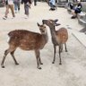 Фото профиля カズマ