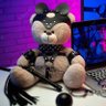 Profilbild von SAN