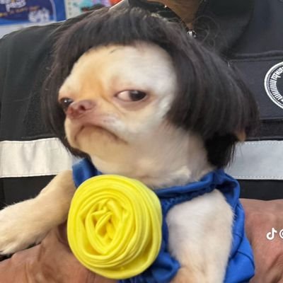 smile_sto's profile picture
