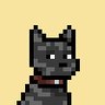 Profilbild von MonsterT.