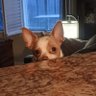 Travis's profile picture
