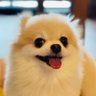 ゆずチル 的头像