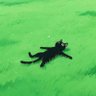 Kodax's profile picture