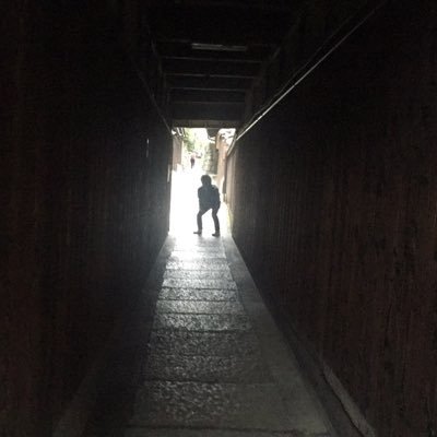 shuheidamasii's profile picture