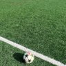 mike profil fotoğrafı