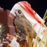 Фото профиля الباشاء بي شـــــــوُ
