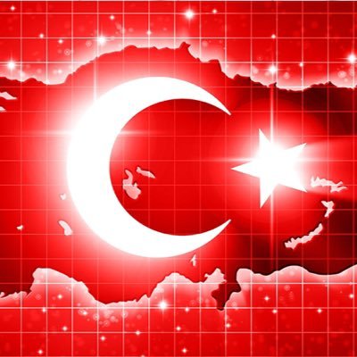 Arzu ERDEM 🇹🇷🇹🇷🇹🇷's profile picture