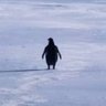 No-Context Ranting 🐧 profil fotoğrafı