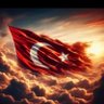 T.C HB⭐️🇹🇷⭐️ 的头像