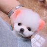 𝐒𝐡𝐢𝐧𝐞☄️ profil fotoğrafı