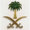أنا للخير نخله🌴 وللشر سيفين ⚔️'s profile picture
