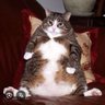 Profilbild von Jojo