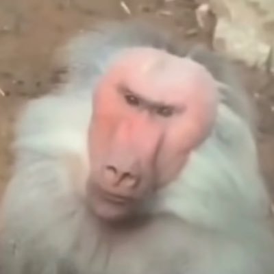 jusaroundt72125's profile picture