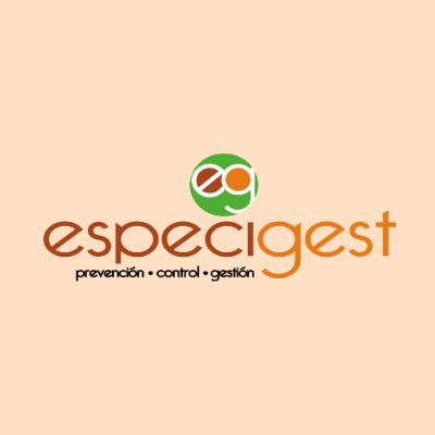 ESPECIGEST's profile picture