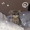 Profilbild von You_can_be_me