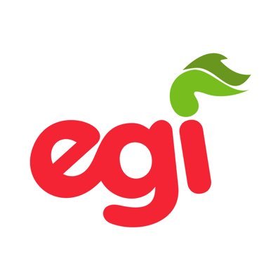 Euzko Gaztedi | EGI's profile picture