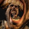 koşan kaplumbağa profil fotoğrafı