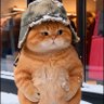 Profilbild von Oatmeal