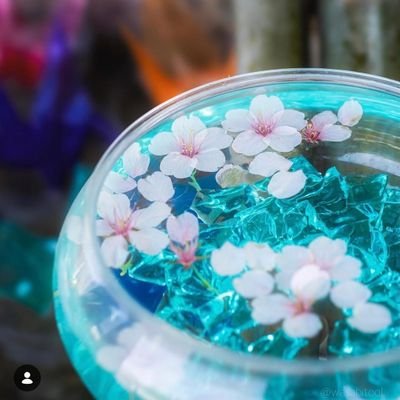 よみがえる日本🇯🇵⛩️🌸's profile picture