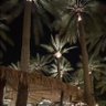 غزل الربيعان's profile picture