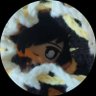 poss's profile picture