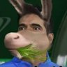 Palmeirense da libertinagem🔞 profil fotoğrafı