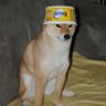Profilbild von CM