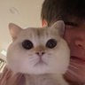 ที่หนึ่งรักพี่ณฐ profil fotoğrafı