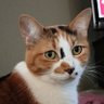 ちゅうばあ 的头像