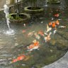 Mily's profile picture