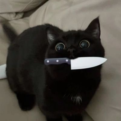 CurioMedia_2302's profile picture