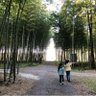 おけん 的头像