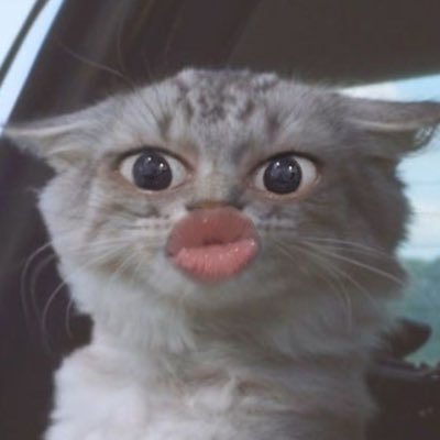 EpalumAnsa's profile picture