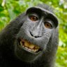 ptist4_c0rn0 profil fotoğrafı