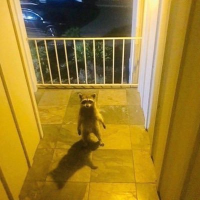 dimdim's profile picture