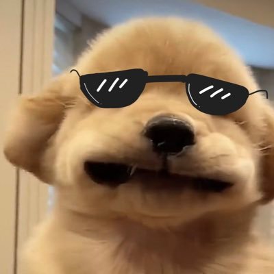 pplove_ook's profile picture