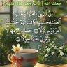 الوردة البيضاء 的头像