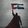 Happy goyim's profile picture