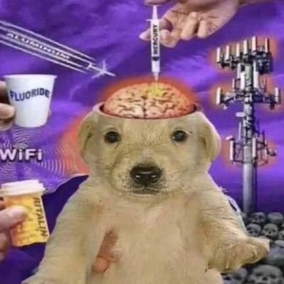 momosfritos's profile picture