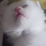 Jadead profil fotoğrafı